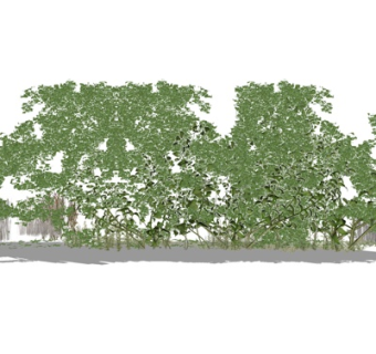 现代2d花草绿植景观su模型