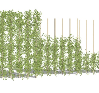 现代植物墙su模型