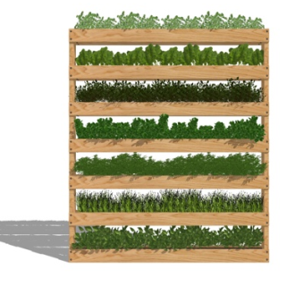 现代花草植物su模型