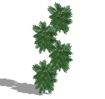 现代绿植花草su模型