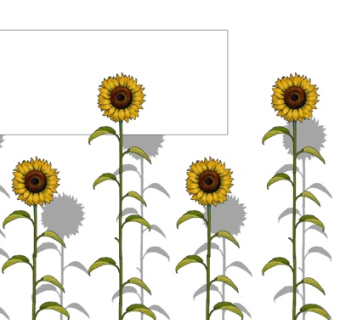 现代向日葵景观墙su模型