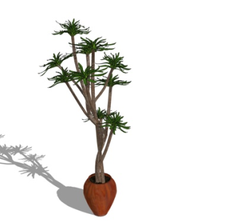 现代绿植盆栽su模型