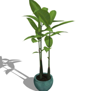 现代绿植盆栽su模型