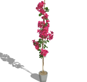 现代花卉盆栽su模型