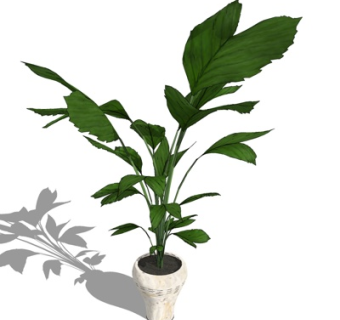 现代绿植盆栽su模型