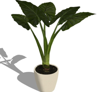 现代绿植盆栽su模型