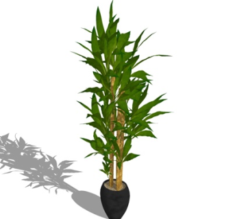 现代绿植盆栽su模型
