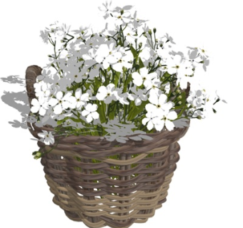 自然风藤编花篮su模型