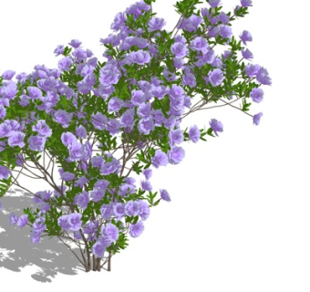 现代绿植花卉su模型