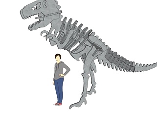 <em>现代恐龙</em>骨架摆件su模型