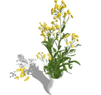 现代花瓶花卉su模型