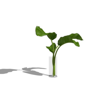 现代玻璃花瓶su模型