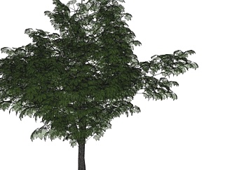 <em>现代景观树</em>su模型