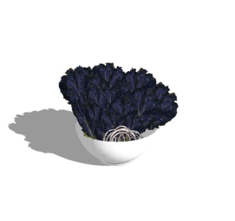 现代蔬菜su模型