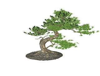 新中式松树su模型
