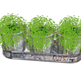 现代绿植盆栽su模型