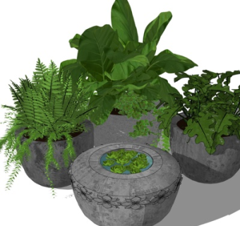 现代绿植盆栽su模型
