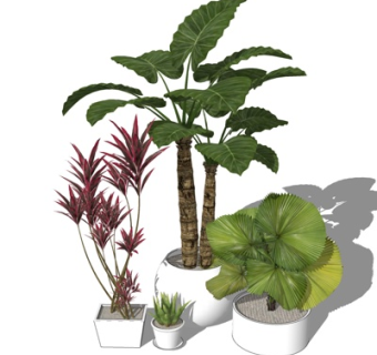 现代绿植盆栽su模型