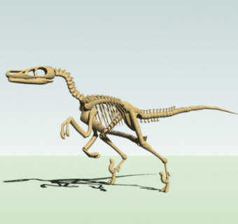 现代恐龙骨骼化石摆件su模型