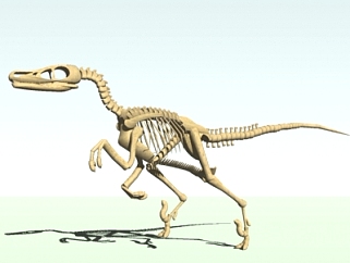 现代恐龙骨骼化石摆件su模型