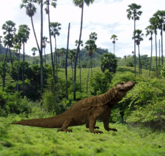 现代丛林巨蜥su模型