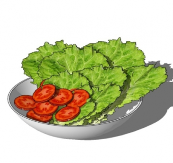 现代蔬菜番茄su模型