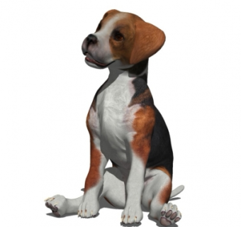 现代宠物狗su模型