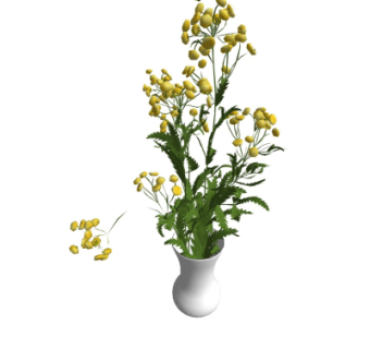 现代花瓶花卉su模型
