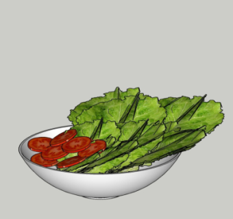 现代蔬菜西红柿su模型