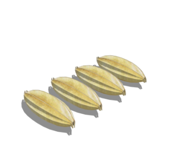 现代杨桃su模型