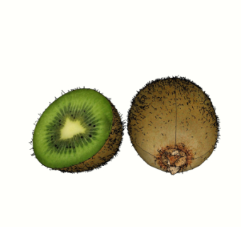 现代猕猴桃水果su模型