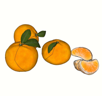 现代橘子水果su模型