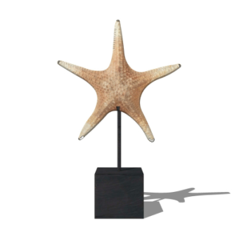 现代海星摆件su模型