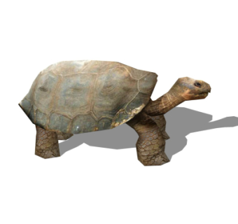 现代乌龟su模型