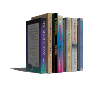 现代书籍su模型