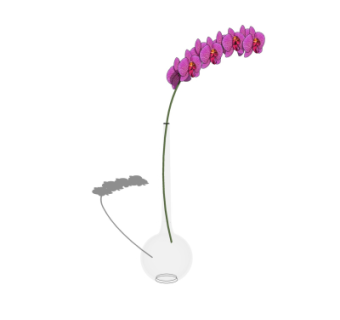 现代花瓶花卉su模型