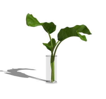 现代花瓶花卉su模型