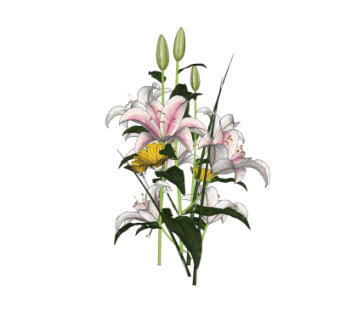 现代花卉插花su模型