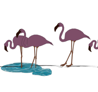 现代火烈鸟su模型