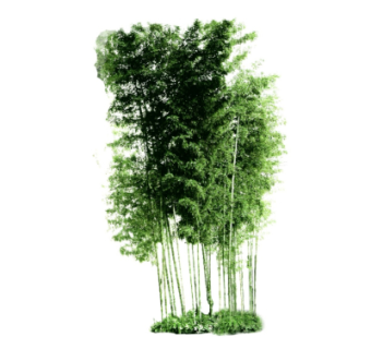 现代竹林su模型