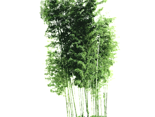 现代竹林su模型
