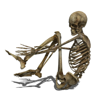 现代人物骨架su模型