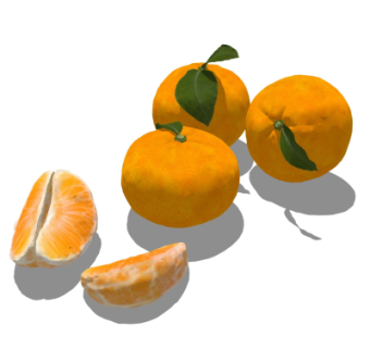 现代桔子su模型