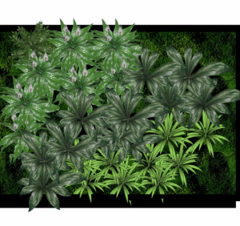 现代绿植背景墙su模型