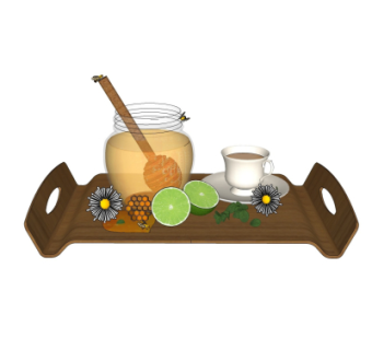 现代食物su模型