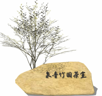 自然风景观石su模型