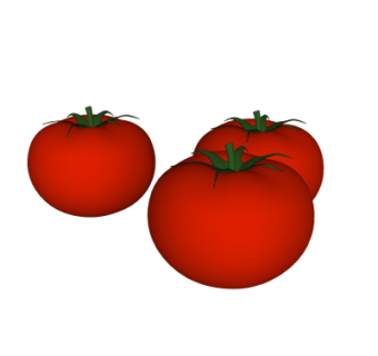 现代蔬菜西红柿su模型