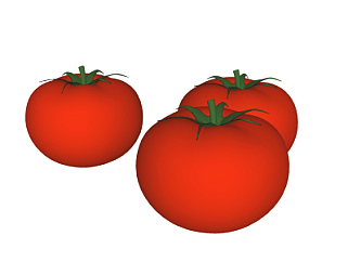 现代<em>蔬菜</em>西红柿su模型