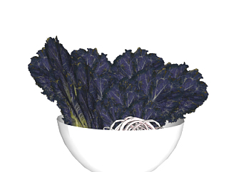 现代蔬菜紫菜su模型