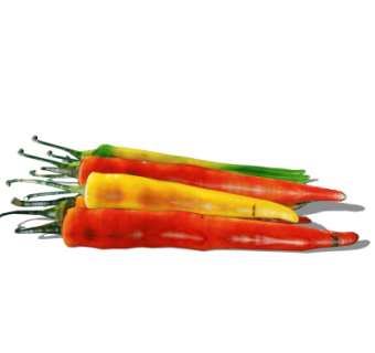 现代蔬菜辣椒su模型